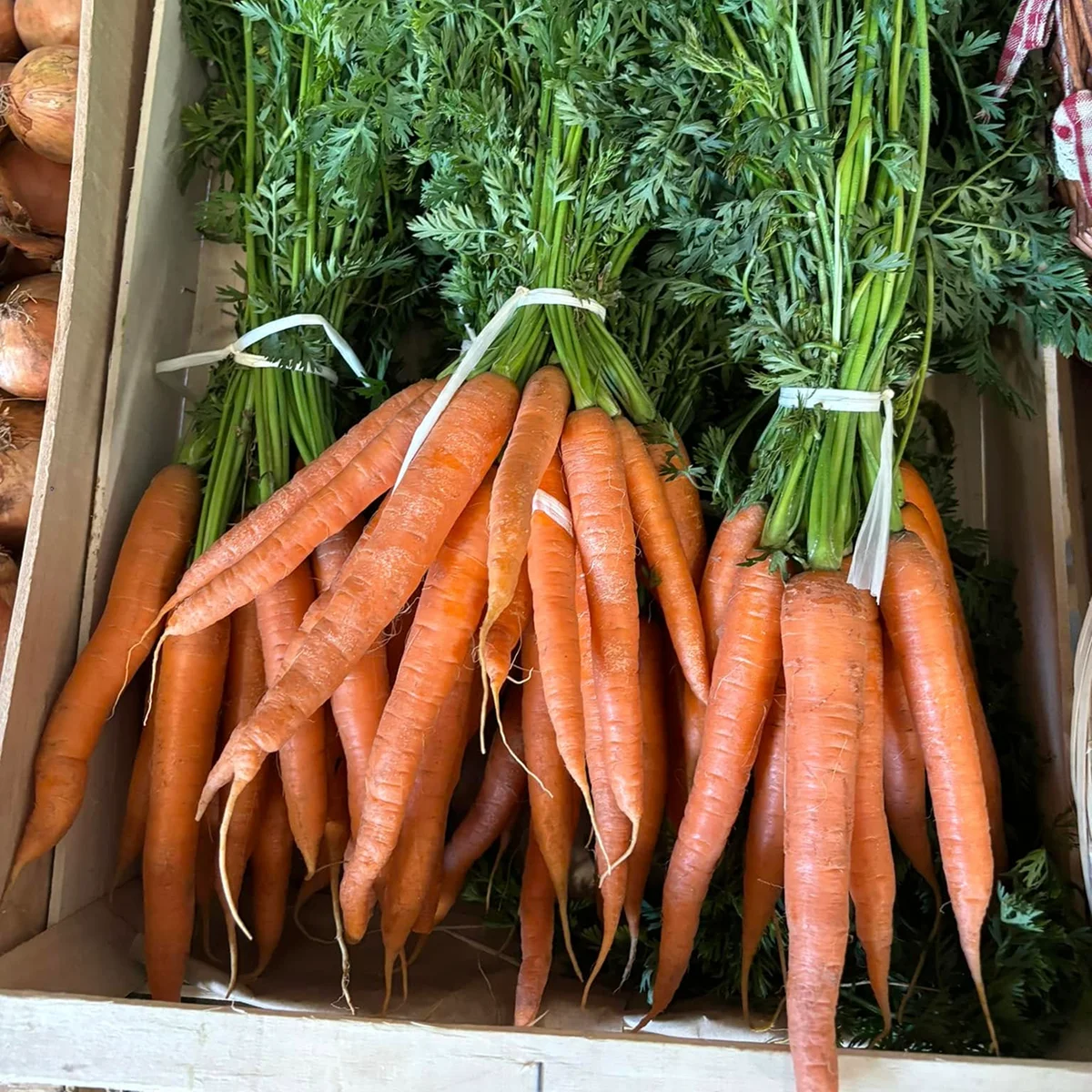 La Ferme De La Mestiniere Produits Locaux A Chateauneuf Sur Loire Legumes Racines Et Bulbes
